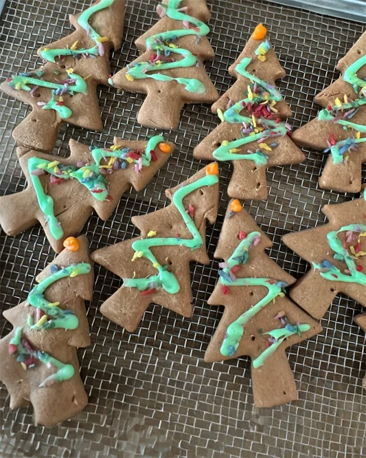 Pk 2 Christmas Trees Grain free Dog Biscuit