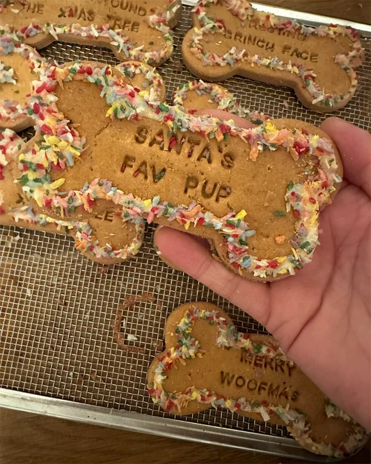 SANTAS FAV PUP Grain free Dog Biscuit